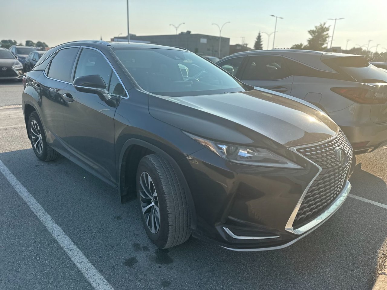 2022 Lexus RX