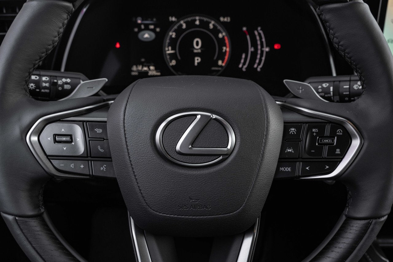 2024 Lexus RX