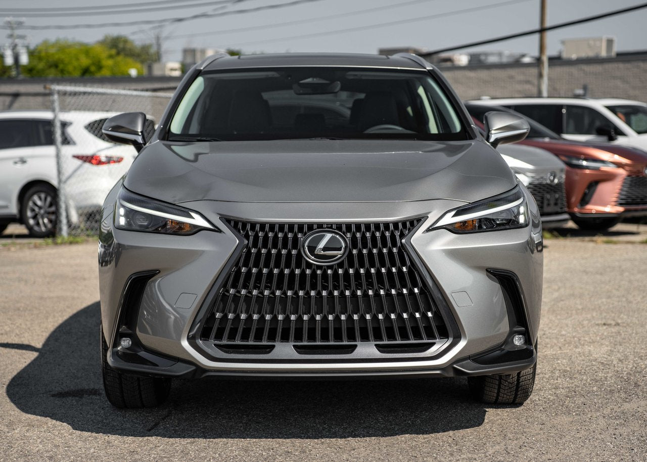 2025 Lexus NX