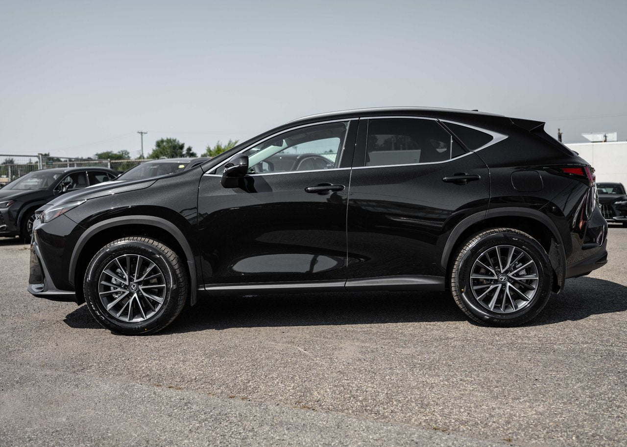 2025 Lexus NX