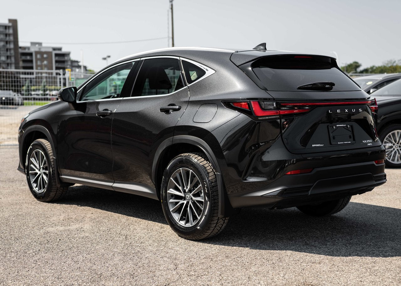 2025 Lexus NX