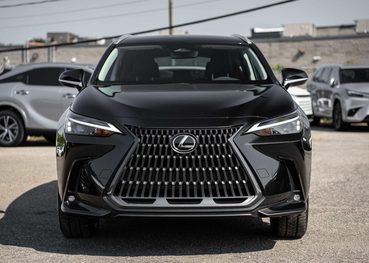 2025 Lexus NX