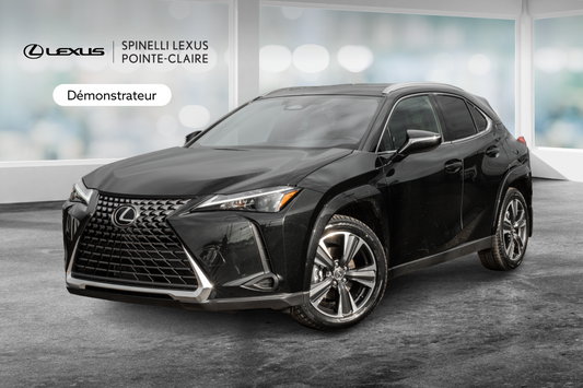 2025 Lexus UX UX 300h, AWD HYBRID
