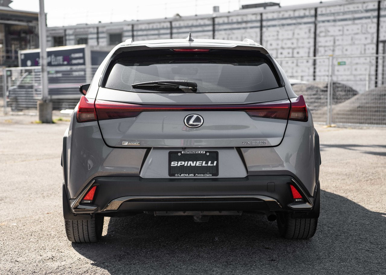 2019 Lexus UX 250h