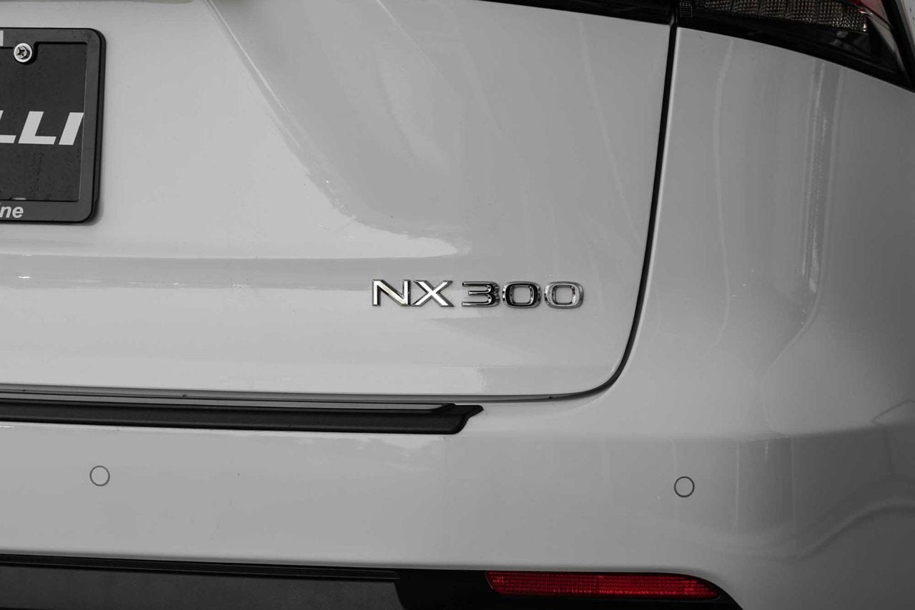 2021 Lexus NX