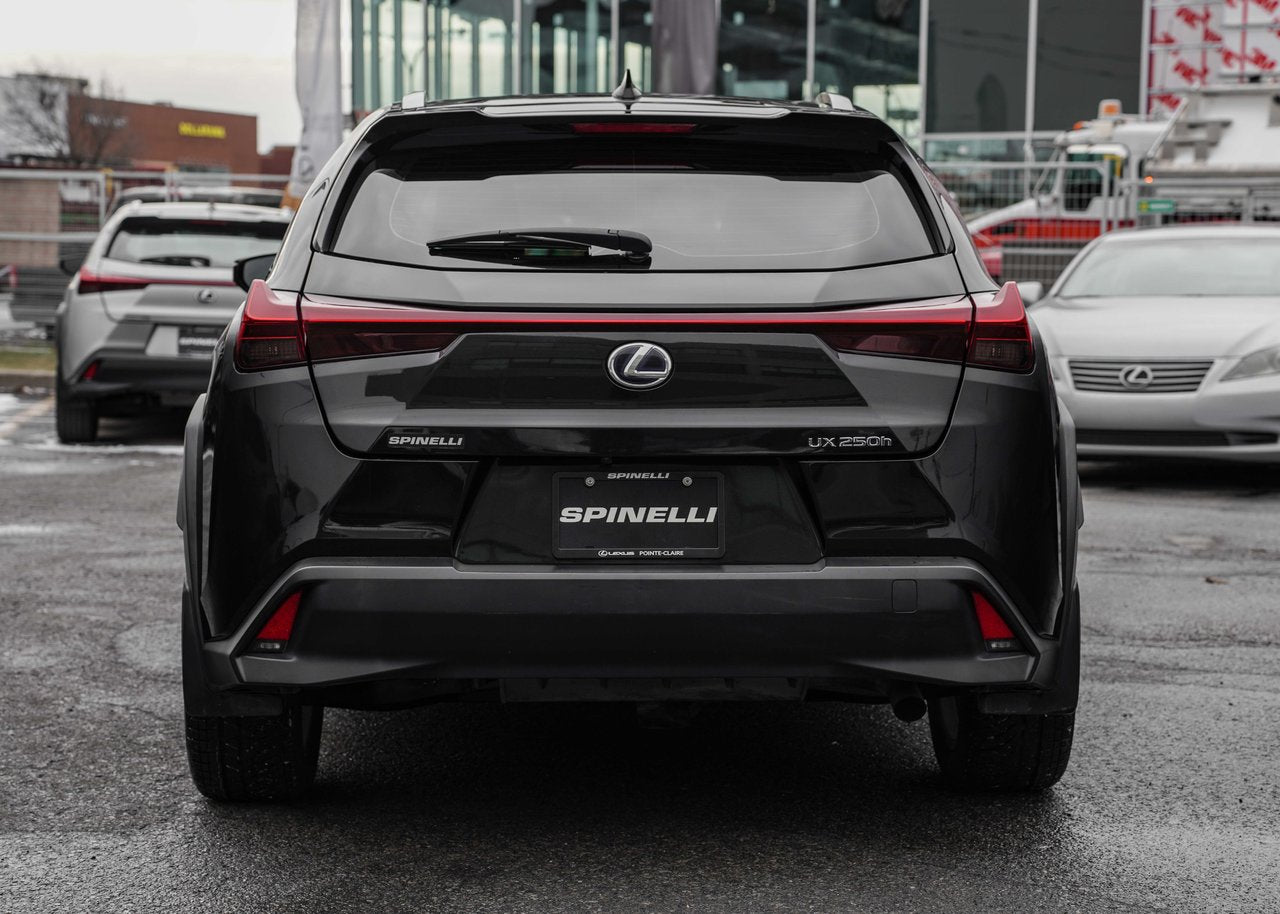 2019 Lexus UX 250h