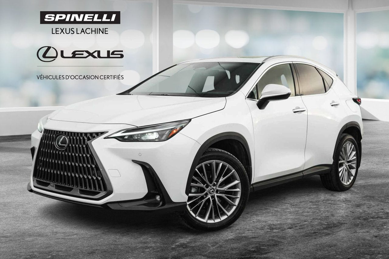 2022 Lexus NX