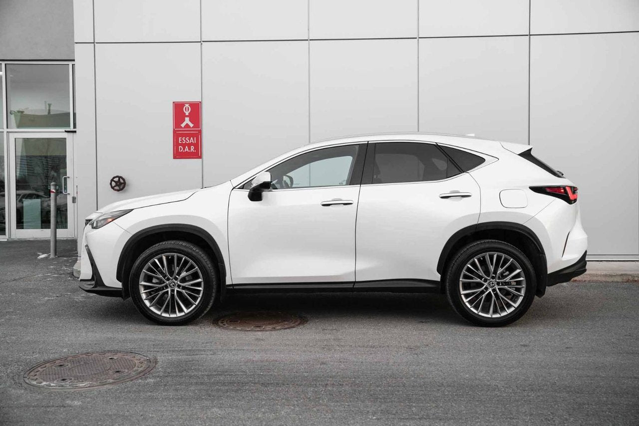 2022 Lexus NX