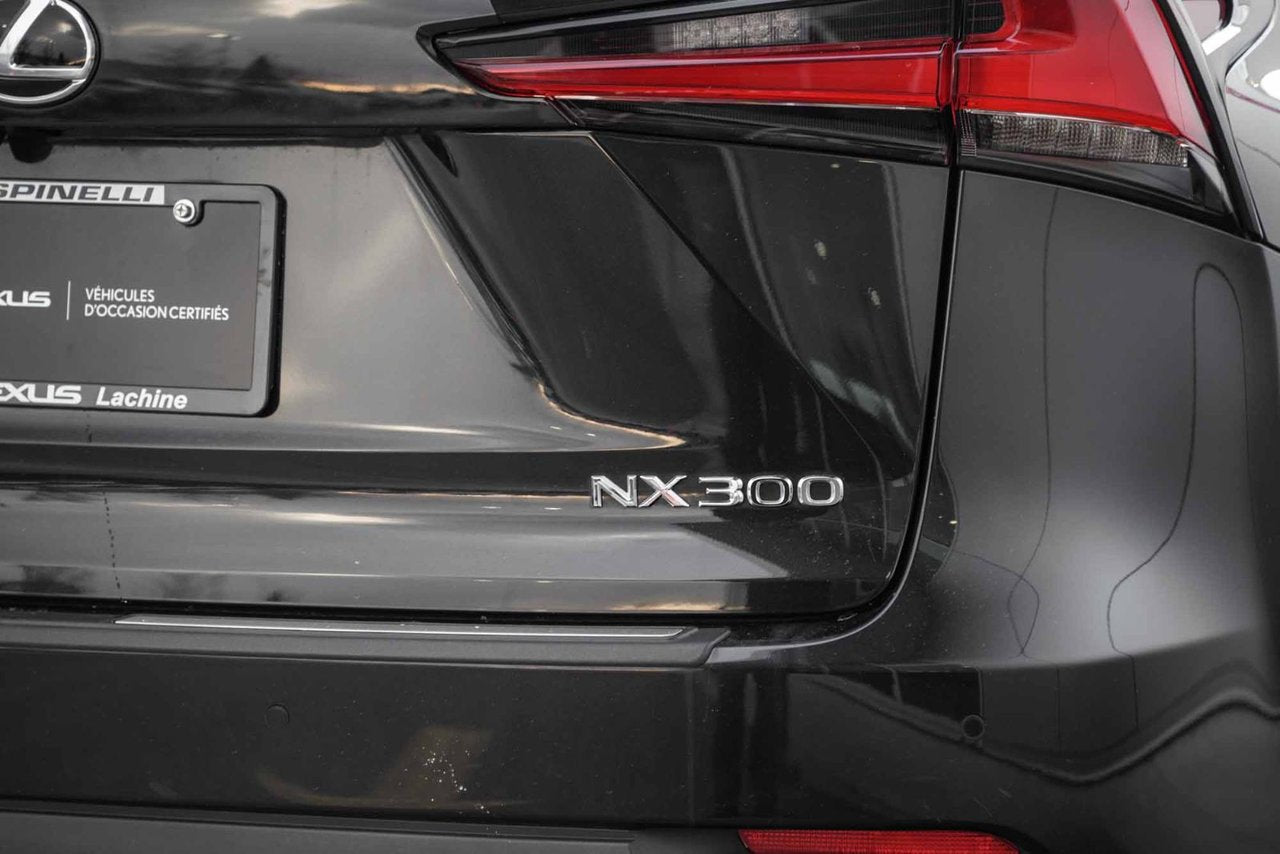 2021 Lexus NX 300 EXECUTIVE MARK LEVINSON CAMERA 360 NAVI