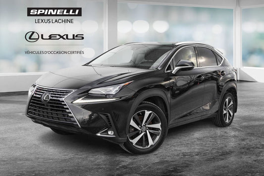 2021 Lexus NX 300 EXECUTIVE MARK LEVINSON CAMERA 360 NAVI