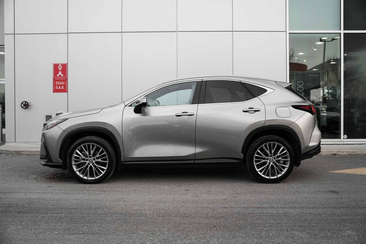 2022 Lexus NX