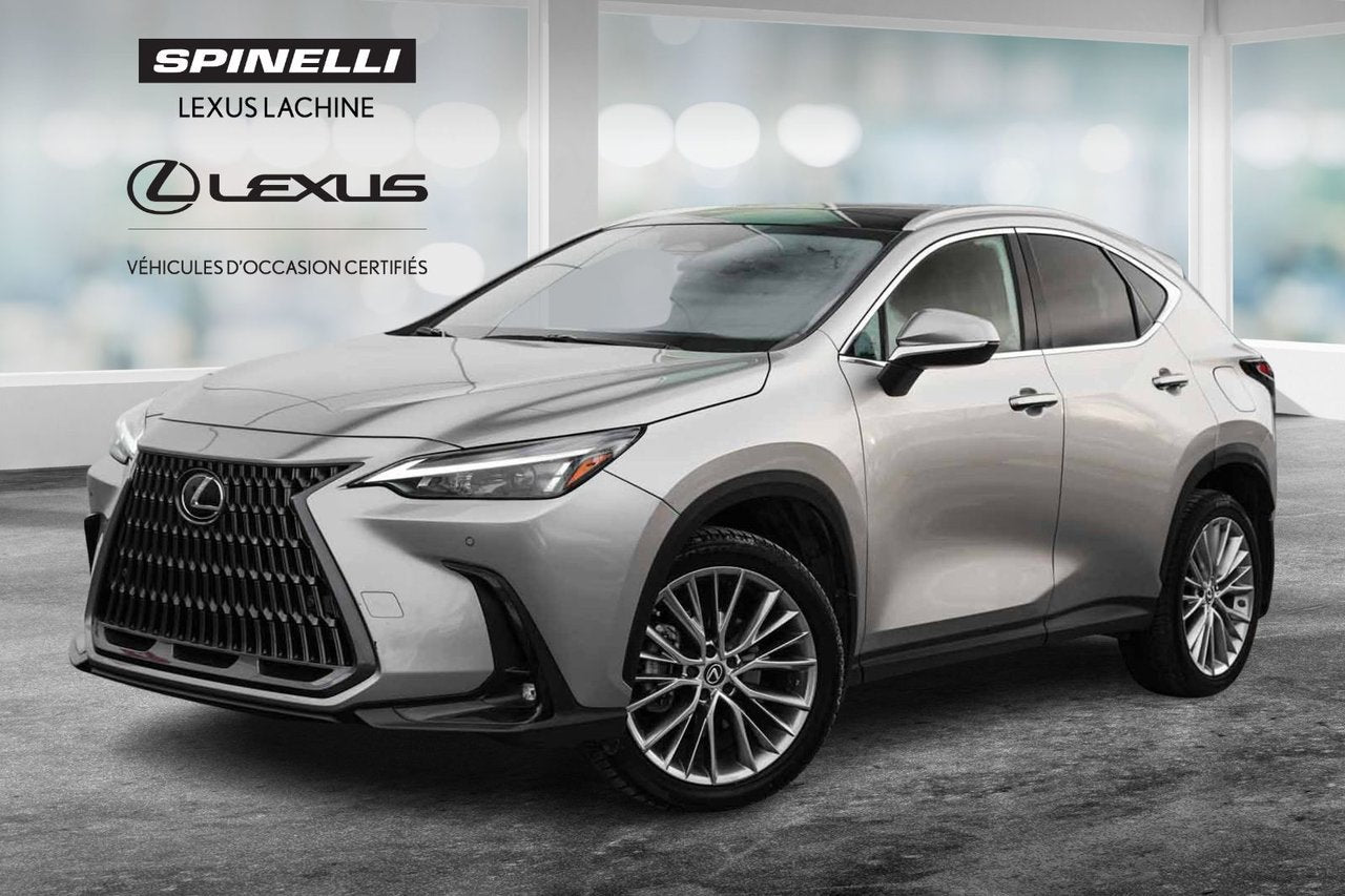 2022 Lexus NX