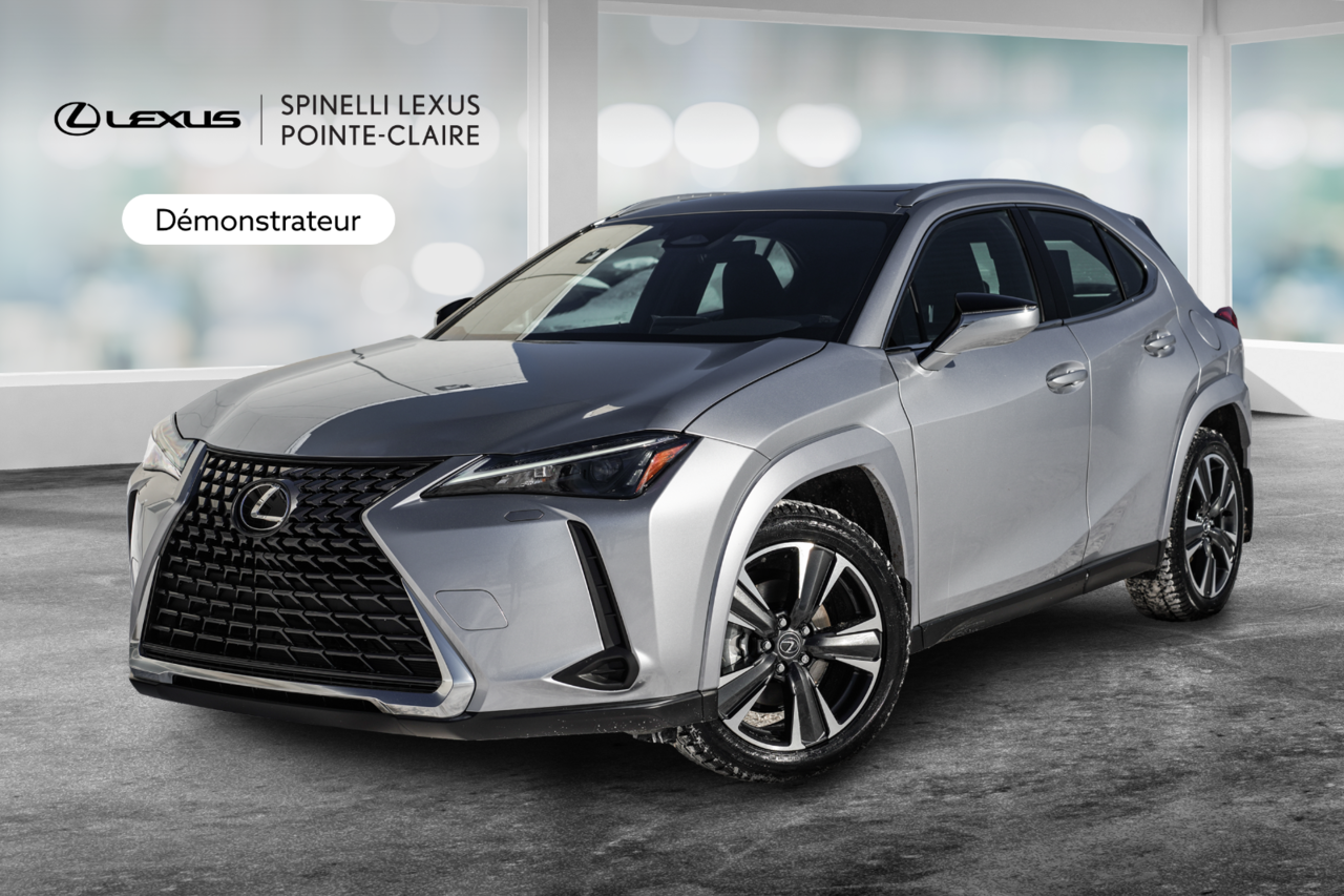 2025 Lexus UX UX 300h, AWD PREMIUM