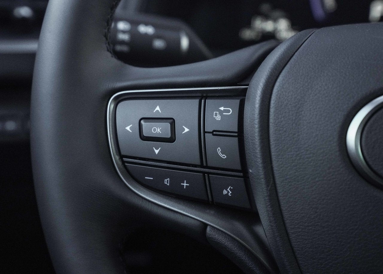 2025 Lexus UX UX 300h, AWD PREMIUM