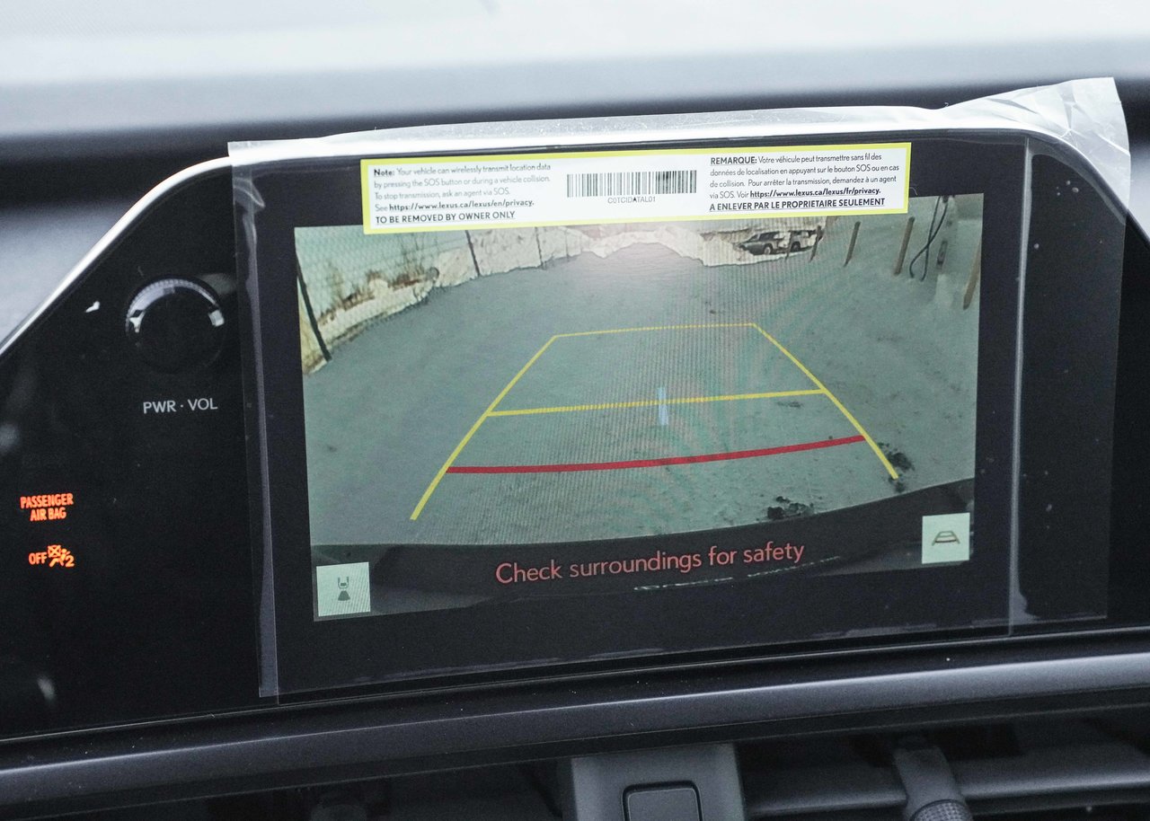 2025 Lexus UX UX 300h, AWD PREMIUM