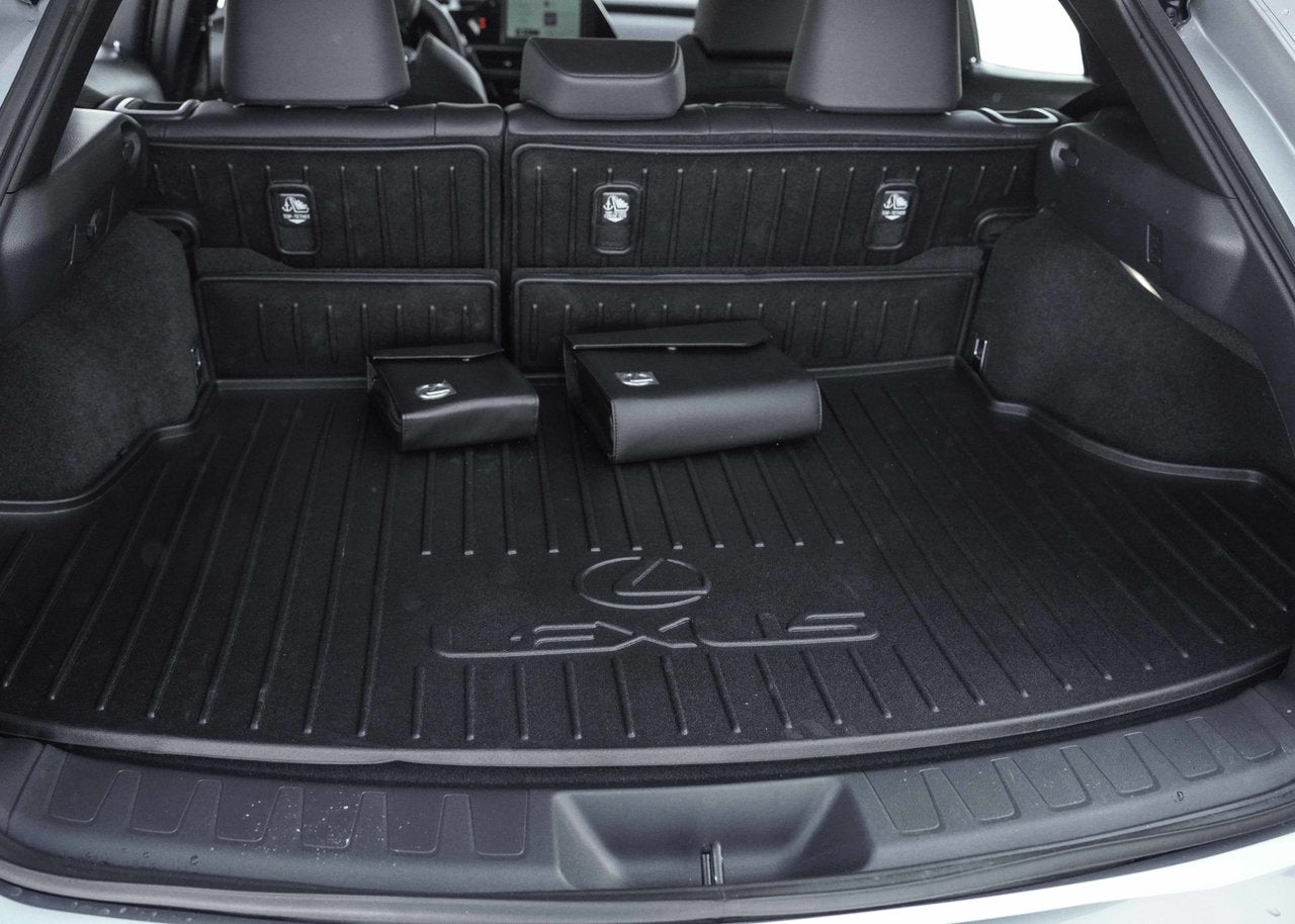 2025 Lexus UX UX 300h, AWD PREMIUM