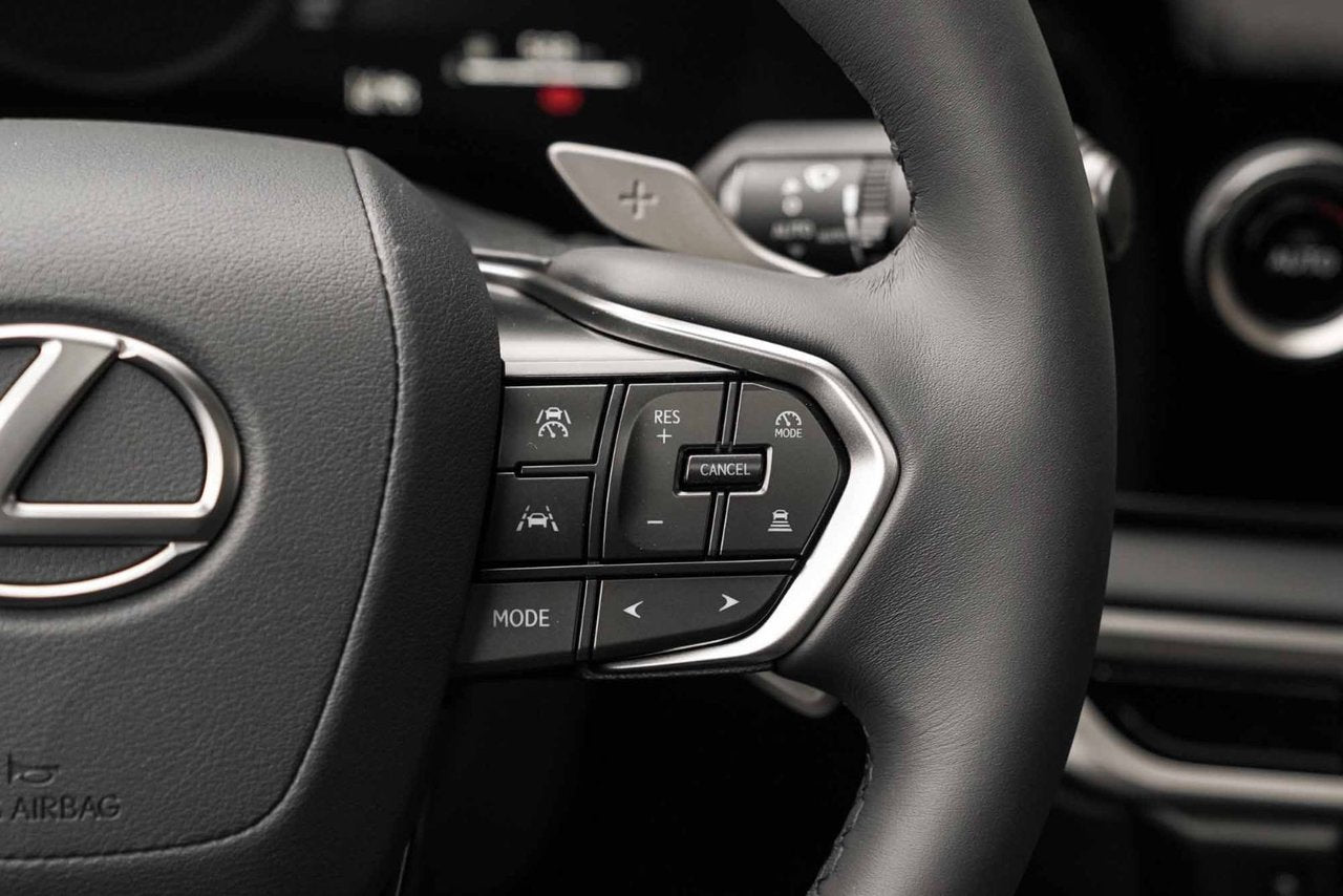 2025 Lexus RX PREMIUM