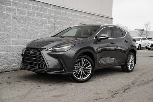 2025 Lexus NXH LUXURY