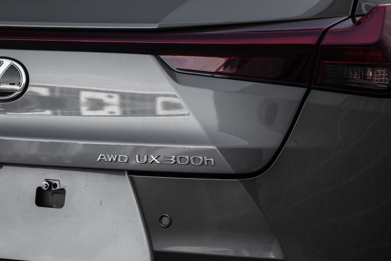 2025 Lexus UXH NONE