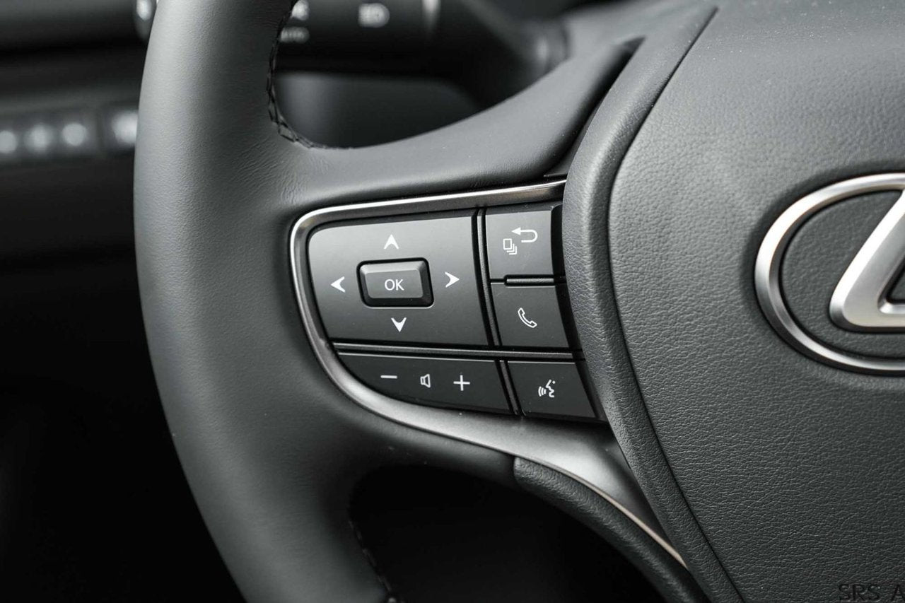 2025 Lexus UXH PREMIUM