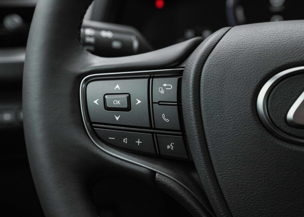 2025 Lexus UX UX 300h, HYBRID AWD, PREMIUM