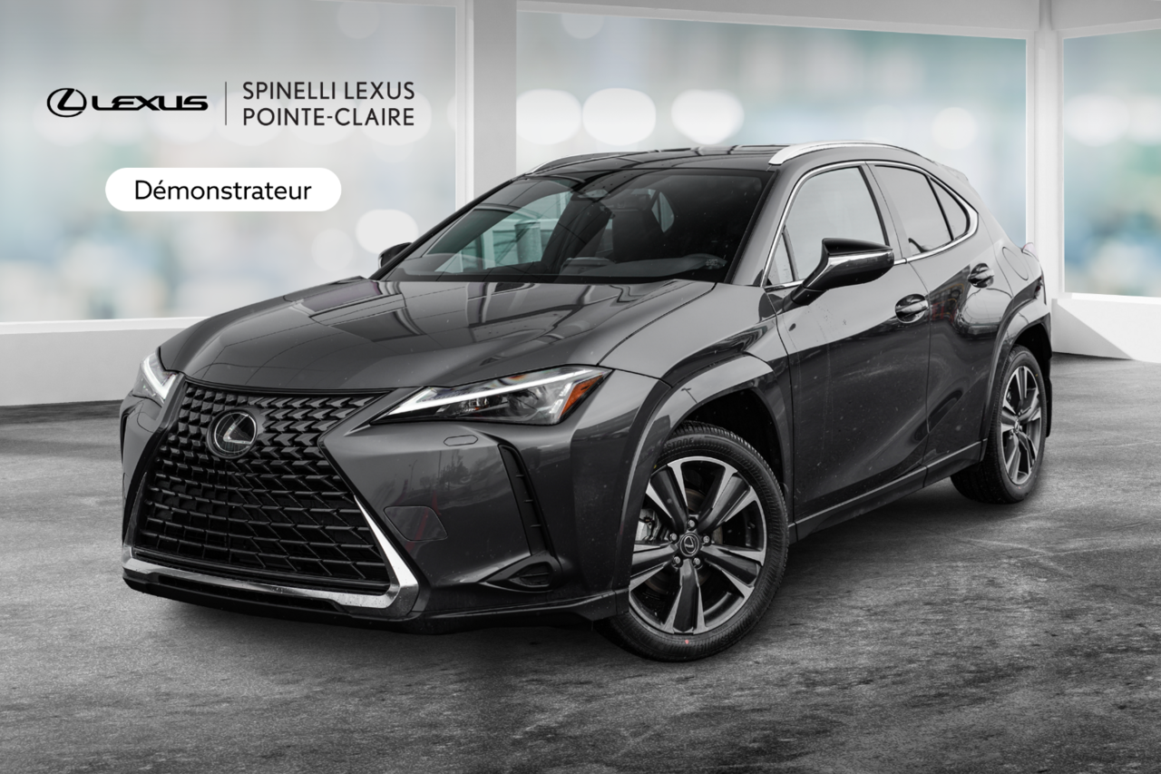 2025 Lexus UX UX 300h, HYBRID AWD, PREMIUM