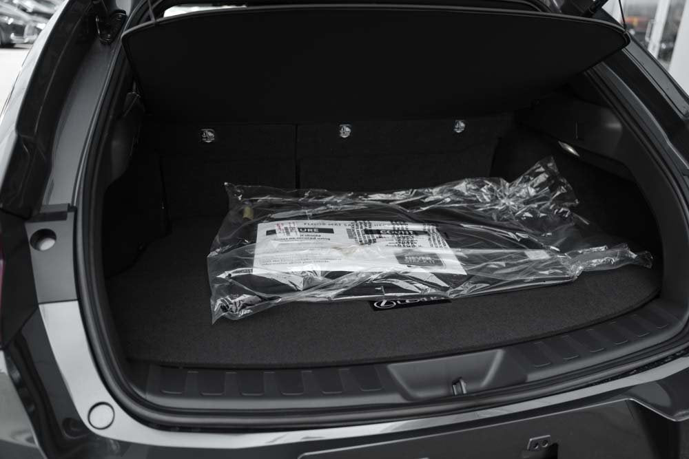 2025 Lexus UX HYBRID 300h