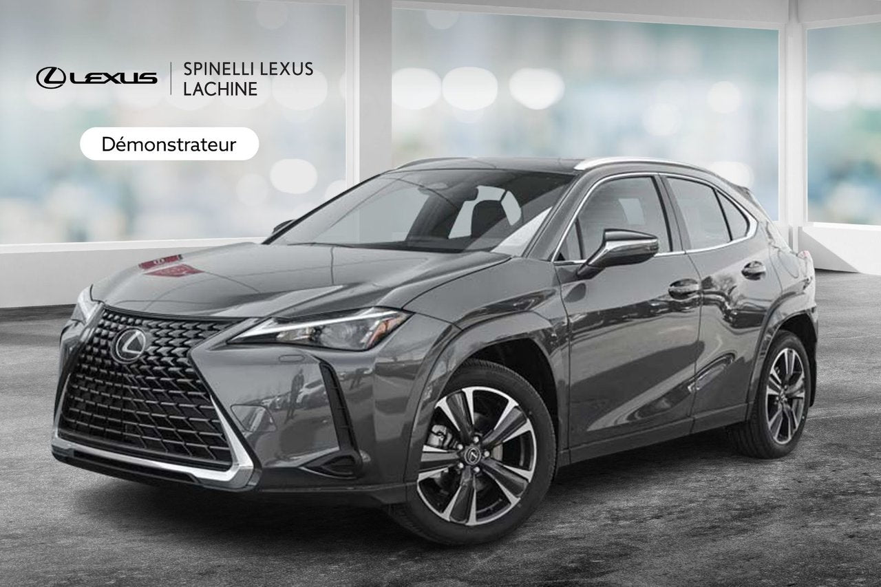 2025 Lexus UX HYBRID 300h
