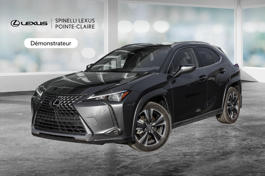 2025 Lexus UX UX 300h, HYBRID AWD, PREMIUM