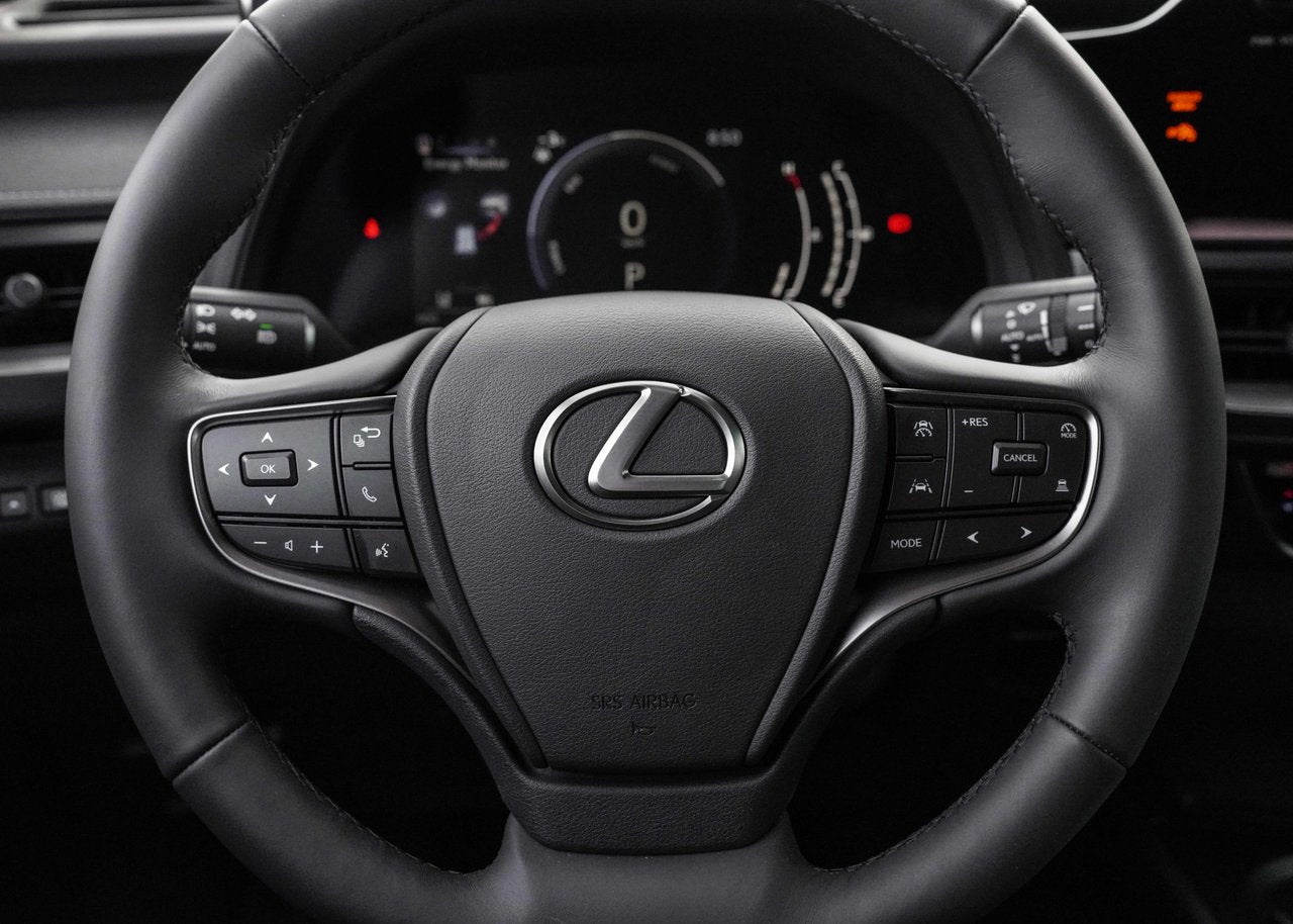 2025 Lexus UX UX 300h, HYBRID AWD PREMIUM