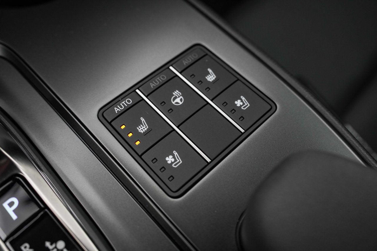 2025 Lexus UX UX 300h, HYBRID AWD PREMIUM