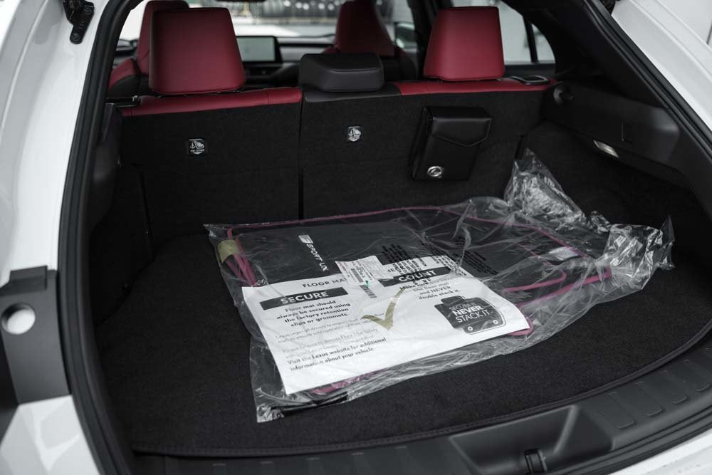 2025 Lexus UX HYBRID F SPORT