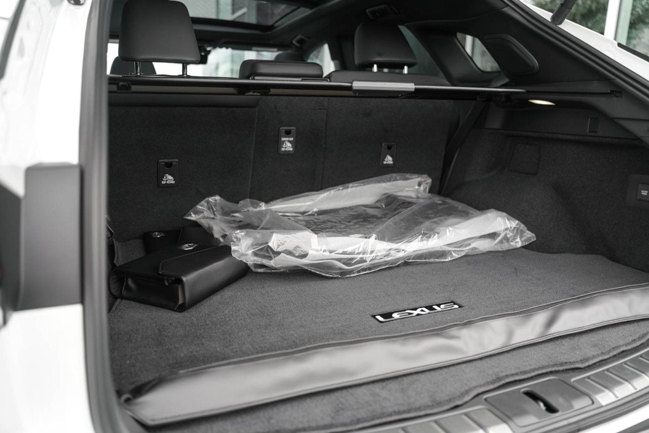 2025 Lexus RX Plug-In Hybrid 450h+