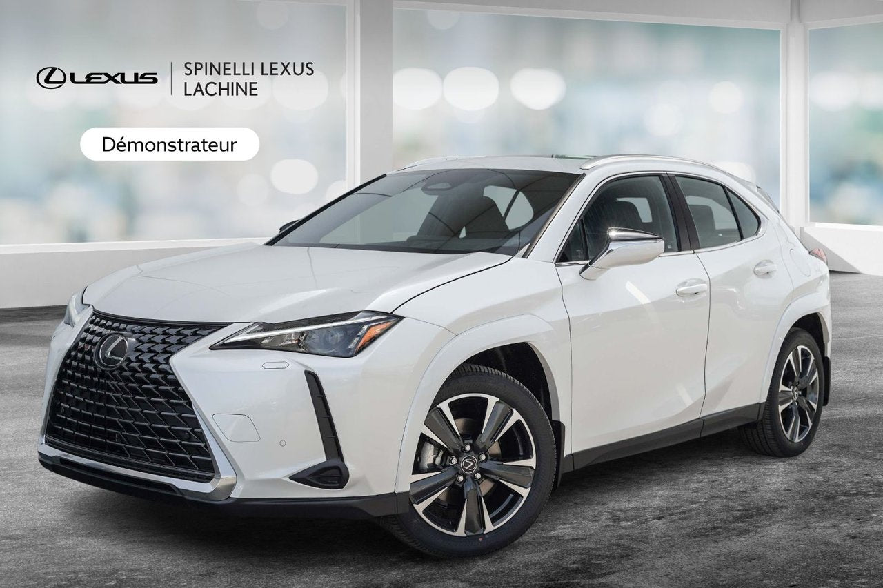 2025 Lexus UX HYBRID 300h