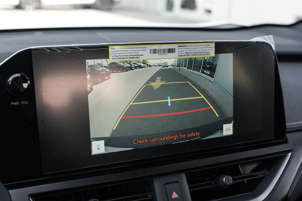 2025 Lexus UX HYBRID 300h