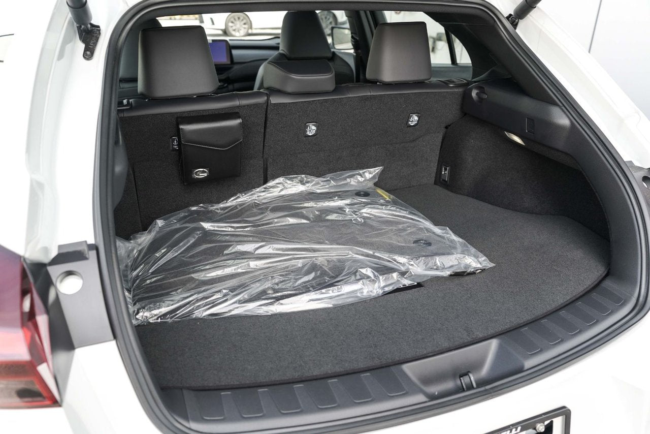 2025 Lexus UX HYBRID 300h