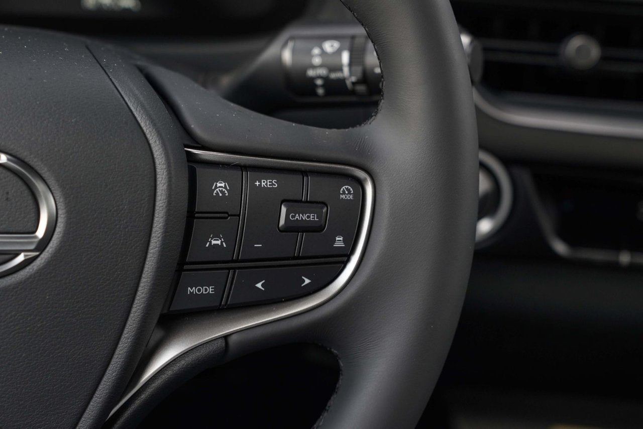 2025 Lexus UX HYBRID 300h