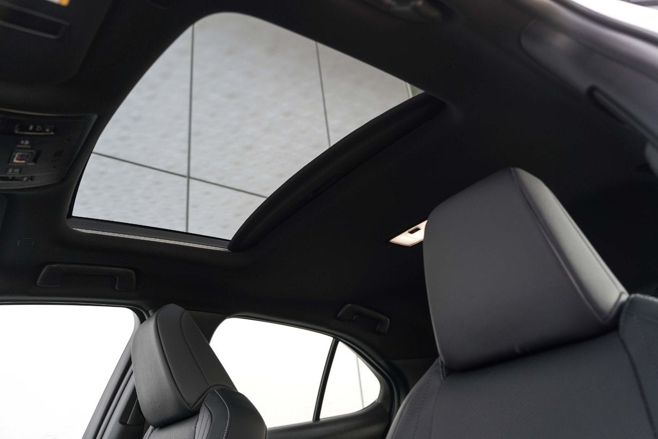 2025 Lexus UX HYBRID 300h