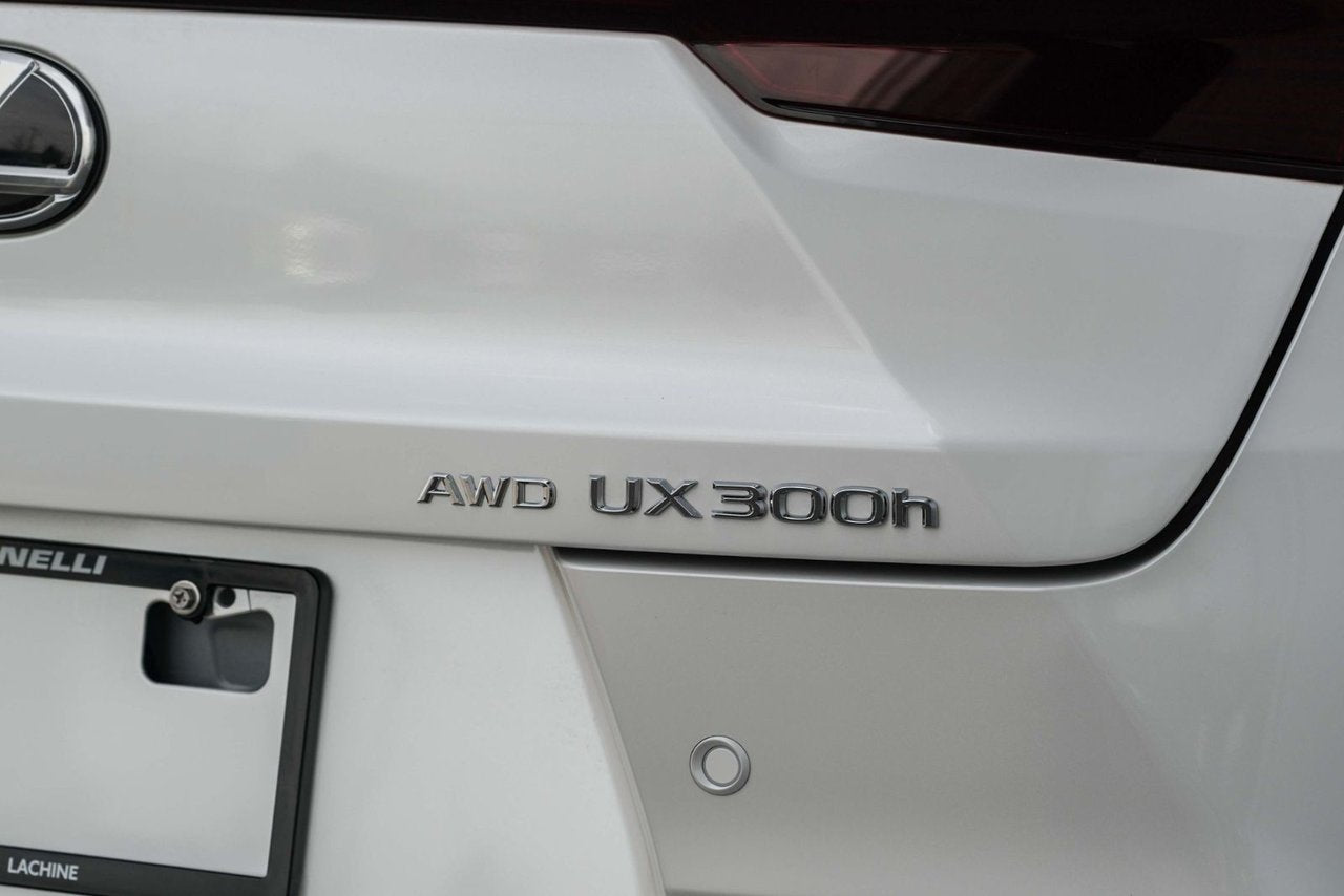 2025 Lexus UX HYBRID 300h