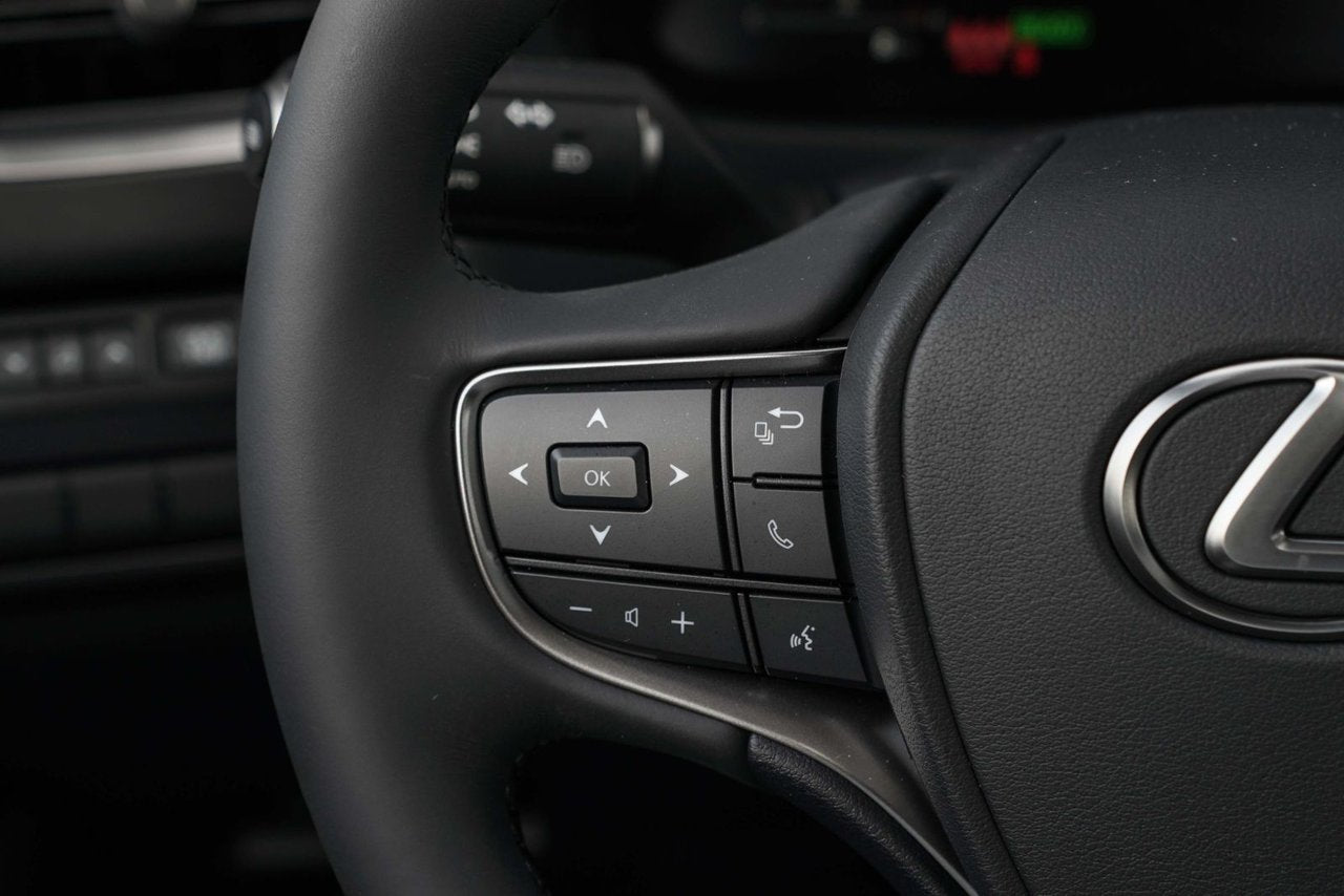 2025 Lexus UX HYBRID 300h