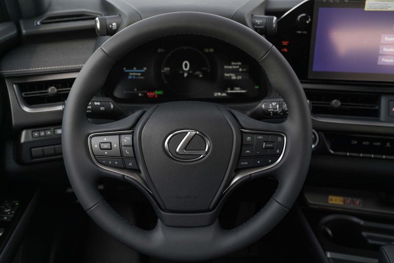 2025 Lexus UX HYBRID 300h