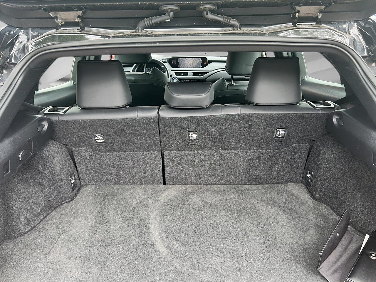 2021 Lexus UX UX 250h