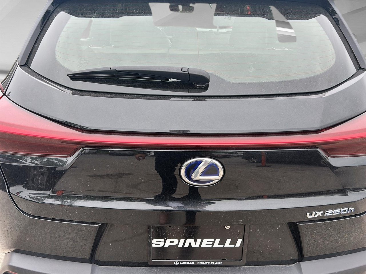 2021 Lexus UX UX 250h