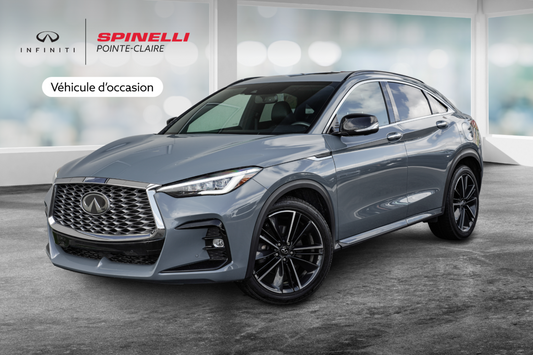 2022 Infiniti QX55 ESSENTIAL ProASSIST