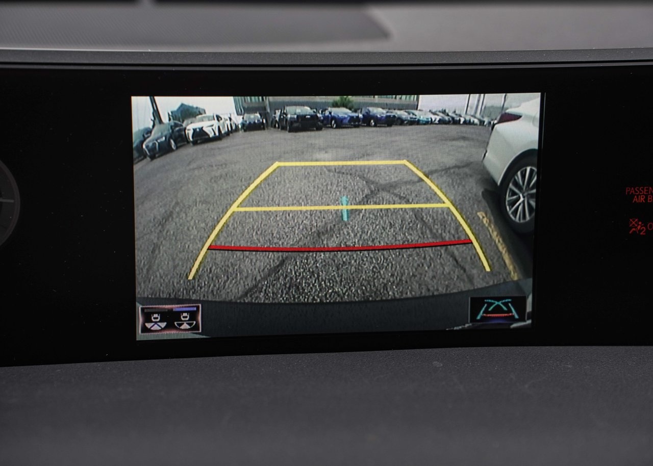 2021 Lexus UX 250h **PREMIUM HYBRIDE AWD**