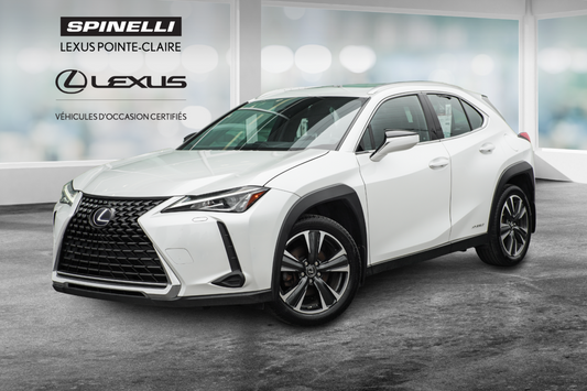 2021 Lexus UX 250h **PREMIUM HYBRIDE AWD**