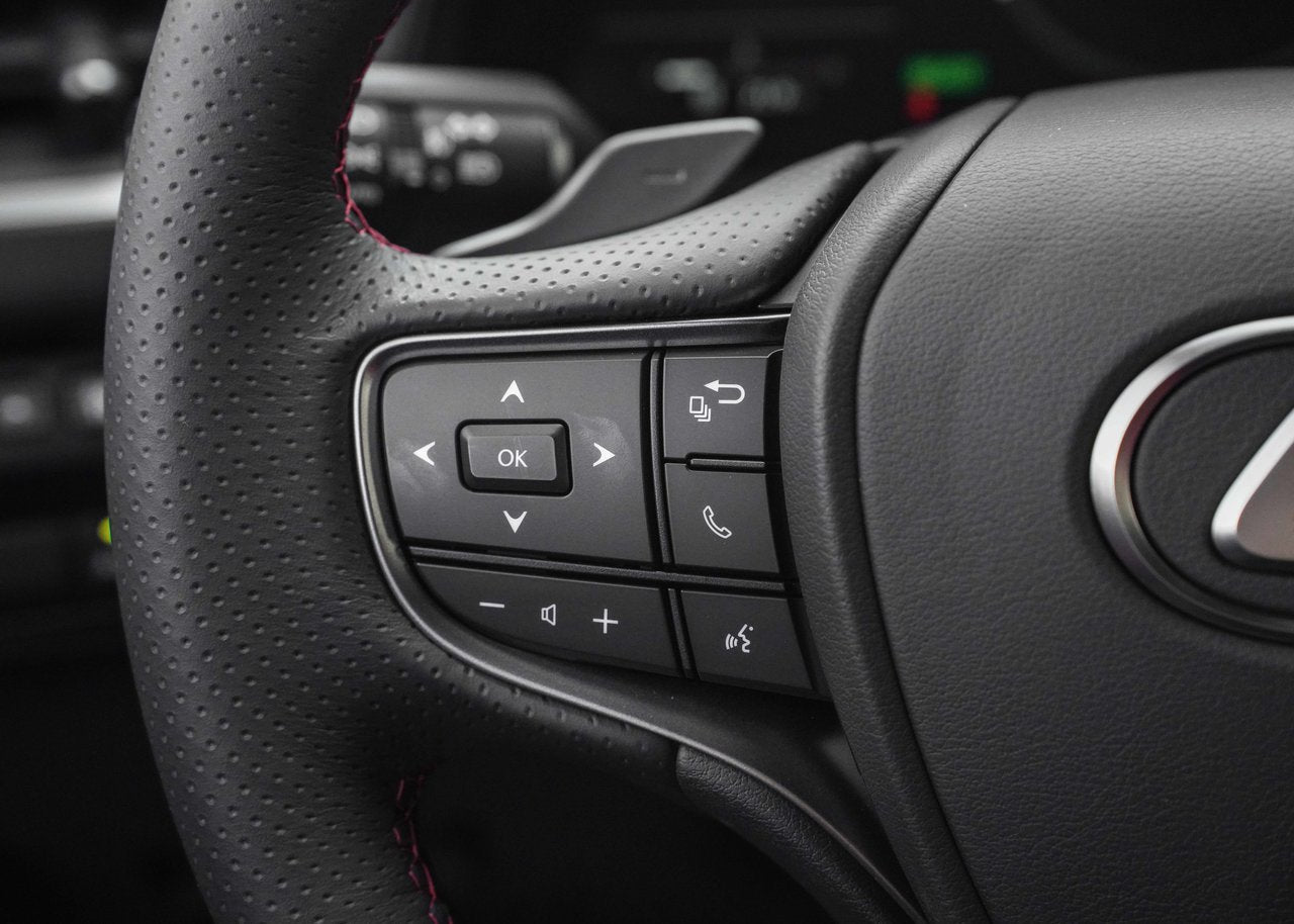 2025 Lexus UX UX 300h, AWD F-SPORT SERIE 2