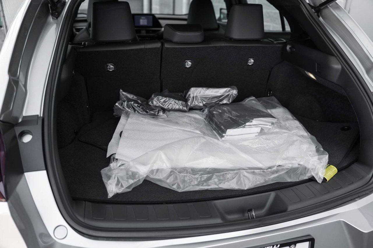 2025 Lexus UX HYBRID 300h