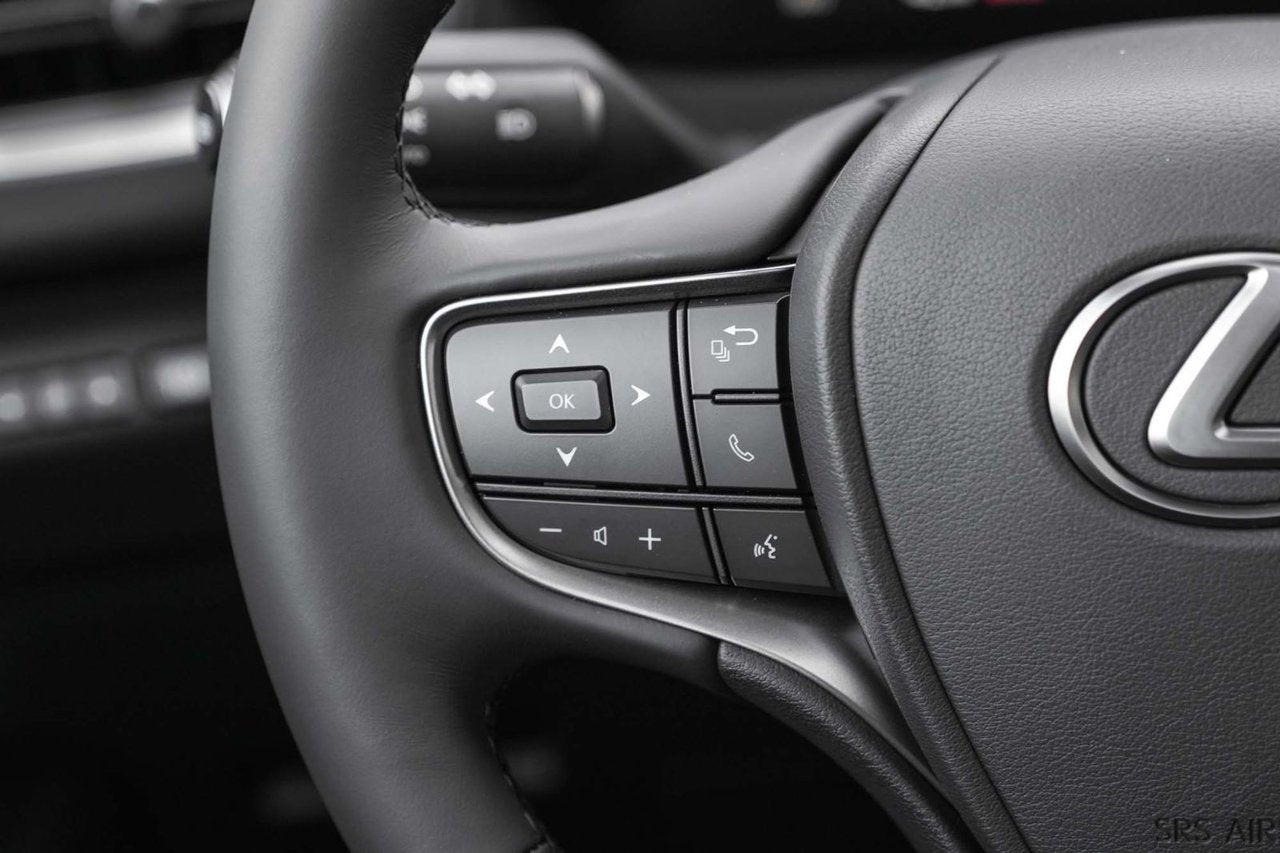 2025 Lexus UX HYBRID 300h