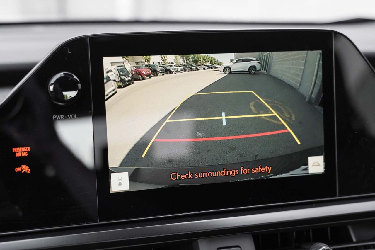 2025 Lexus UX HYBRID 300h